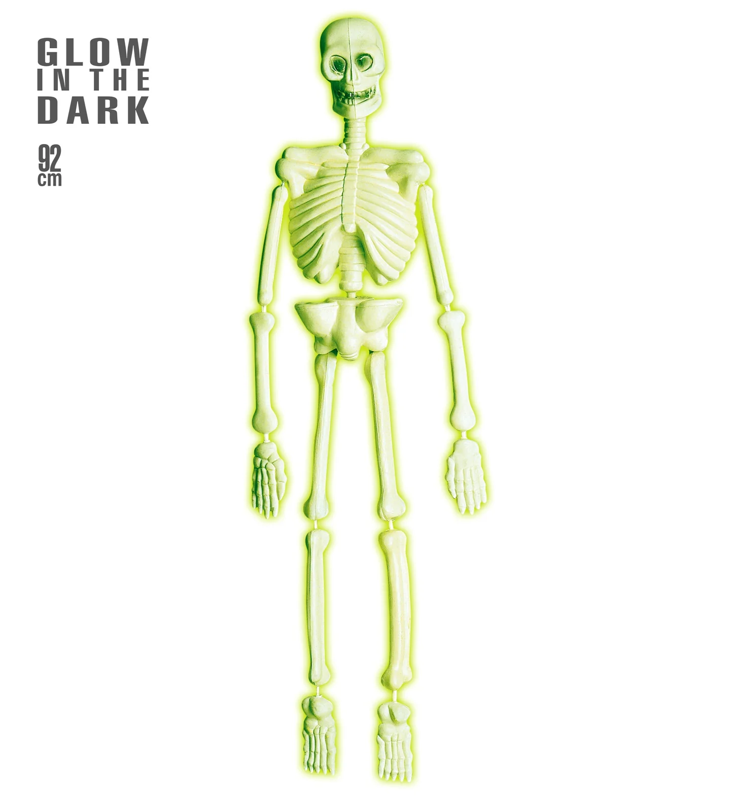 Skelet hangend glow in the dark - Image 2