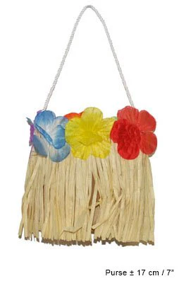 Tas Hawaii party - Image 2