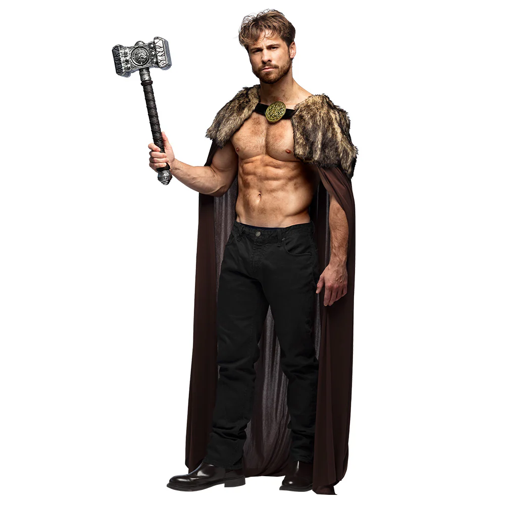 Cape Night hunter - Image 4
