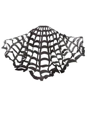 Cape spinnenweb - Image 2