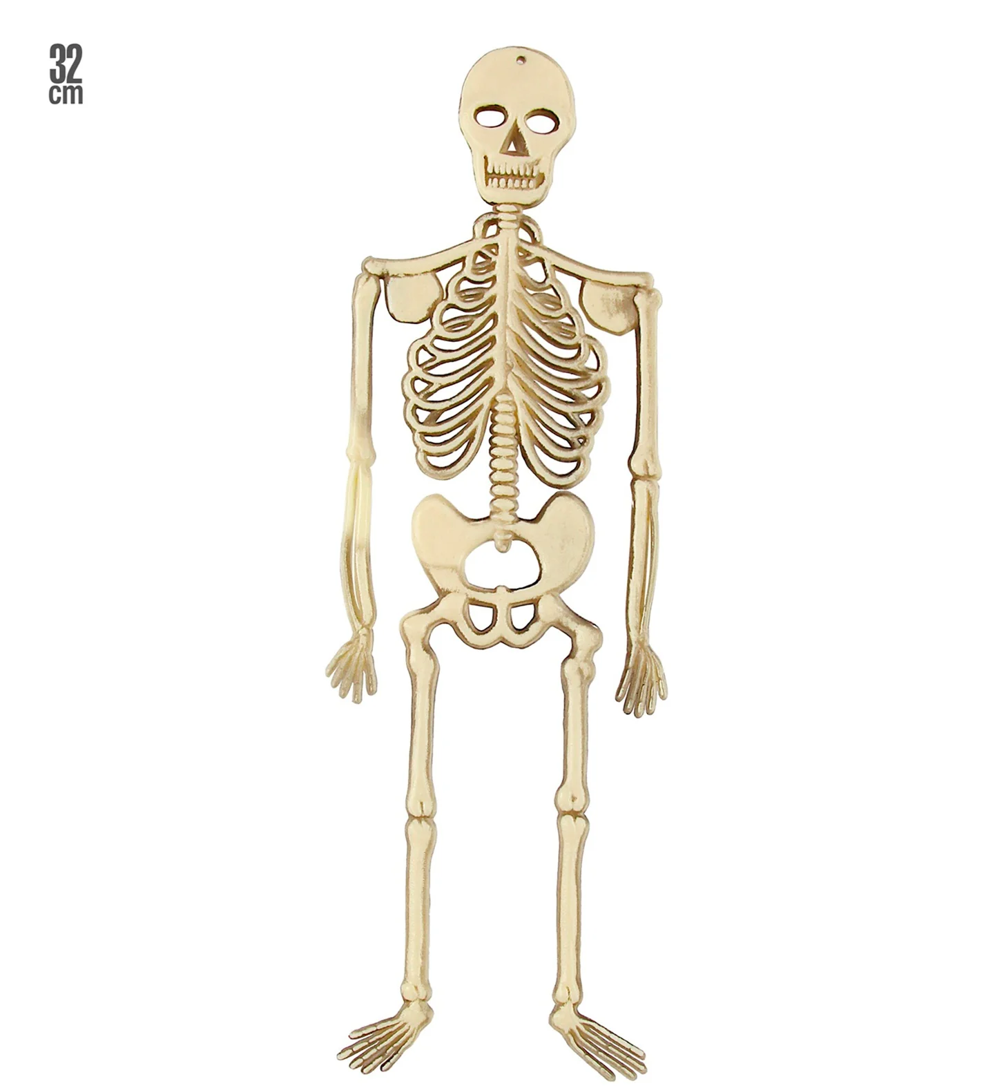 Skelet Benny decoratief - Image 3