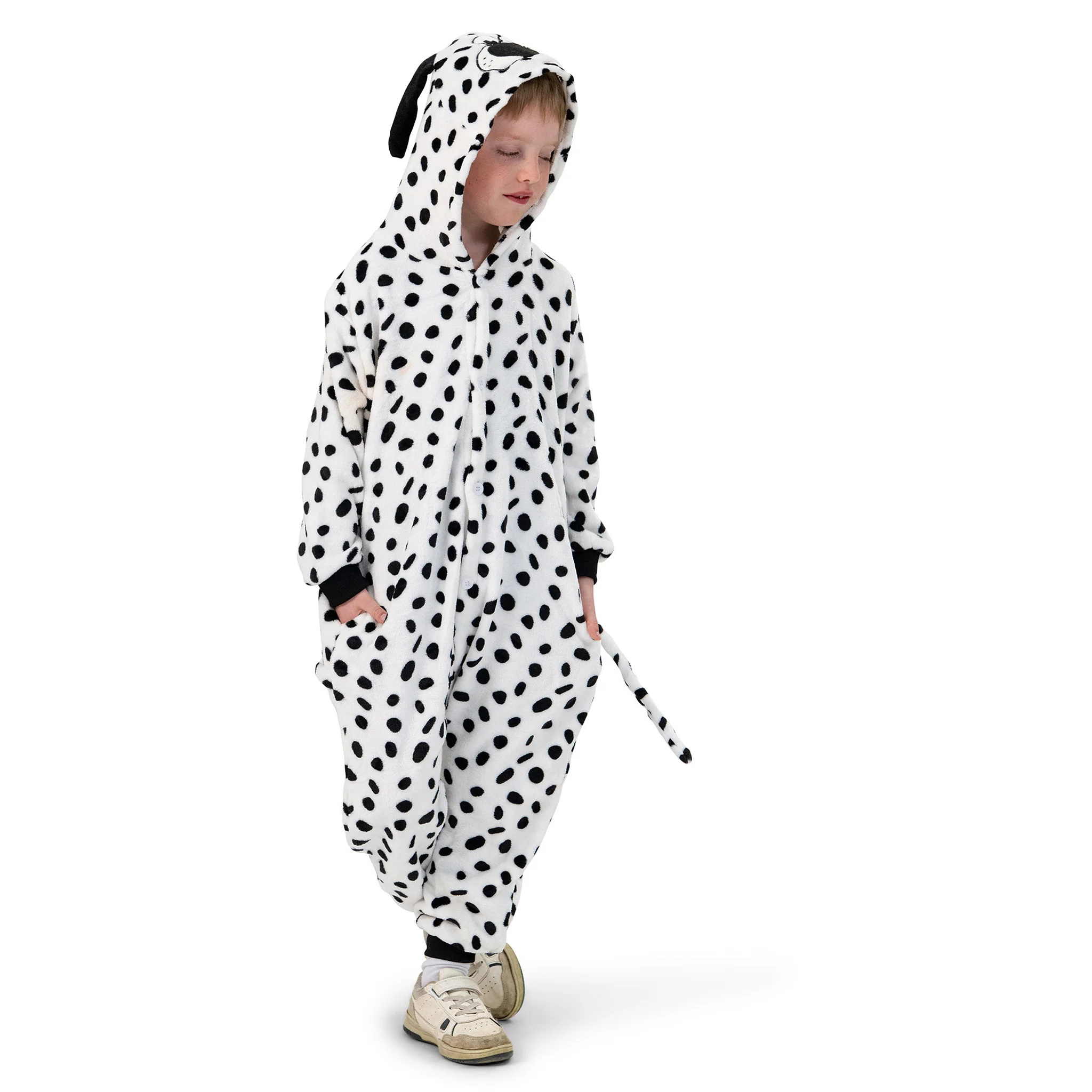 Dalmatiër pak kinderen Dante - Image 3