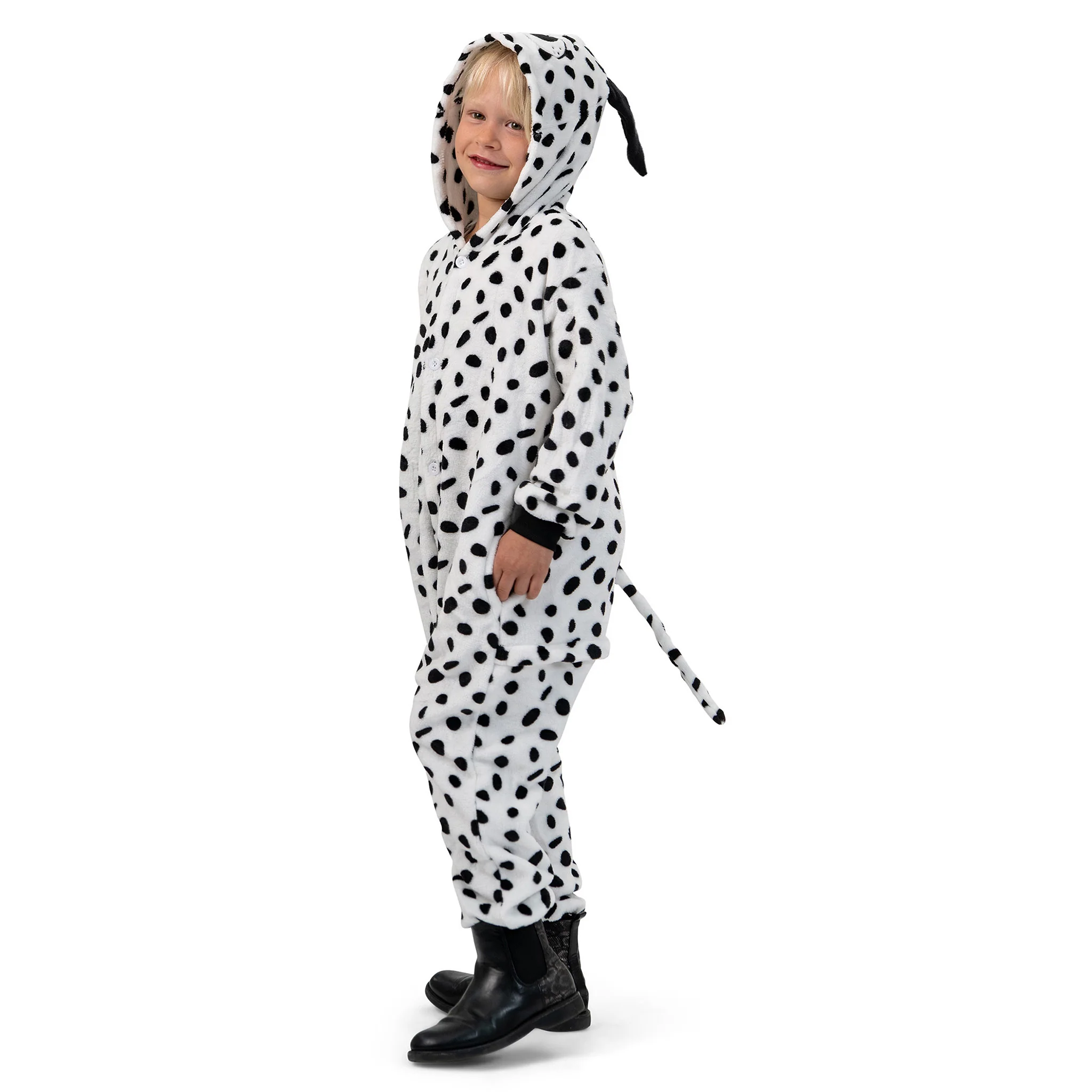 Dalmatiër pak kinderen Dante - Image 4