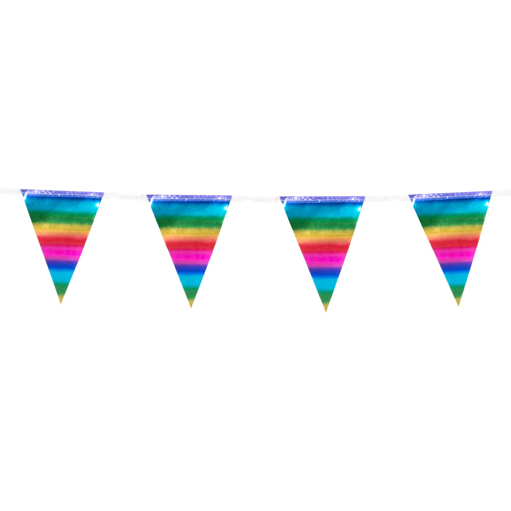 Folieminivlaggenlijn regenboog