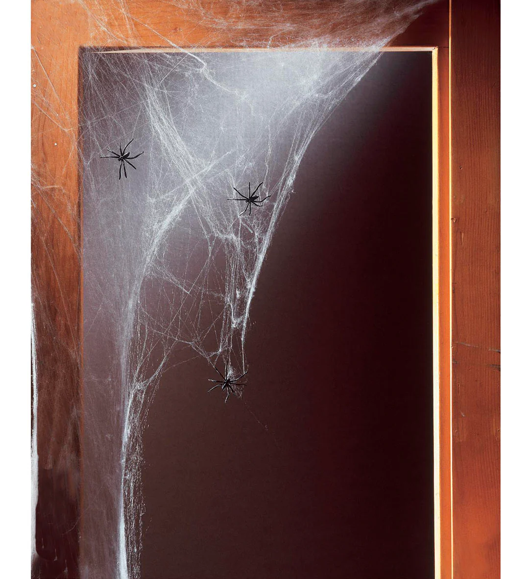 Halloween spinnenweb met 20 nep spinnen - Image 3