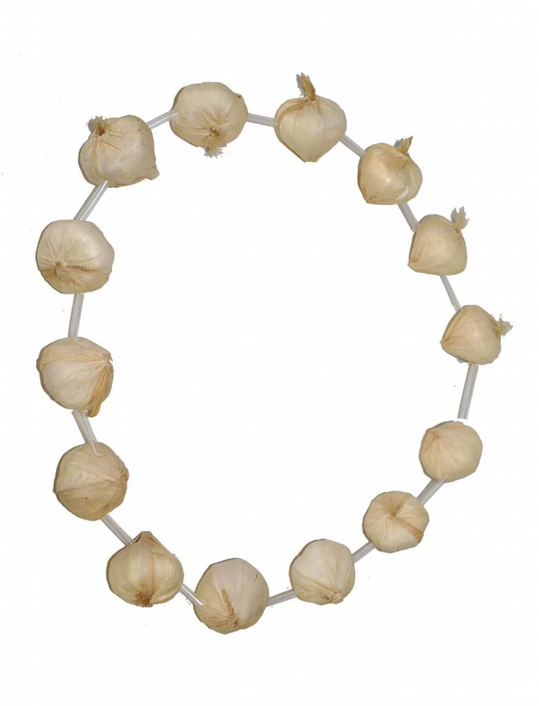 Halsketting met knoflook
