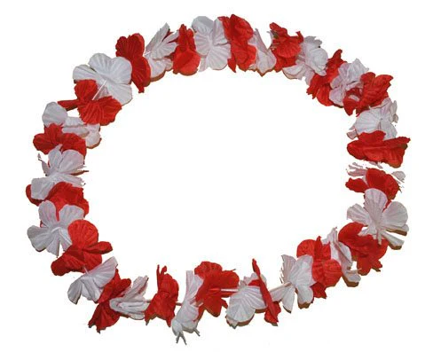 Hawaii bloemenkrans rood wit - Image 2