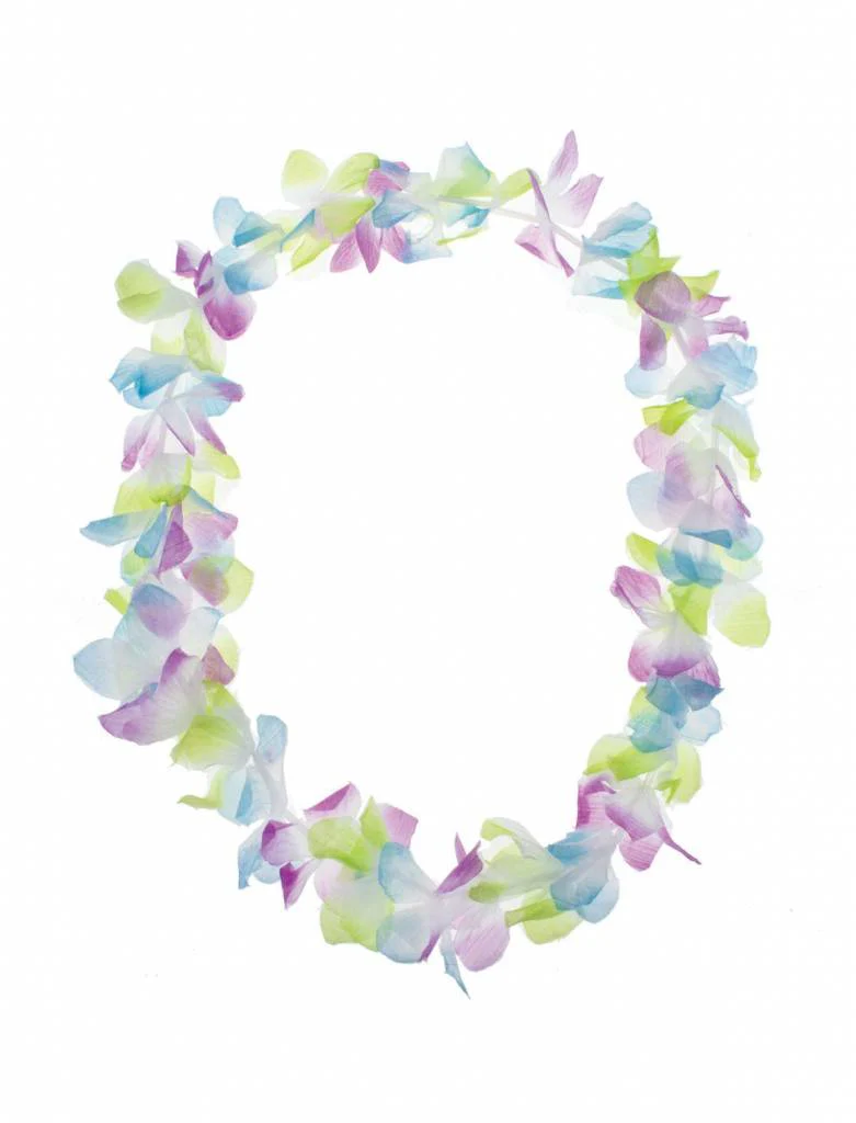 Hawaii bloemenslinger pastelkleuren - Image 2
