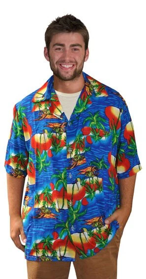 Hawaii blouse Oahu - Image 2