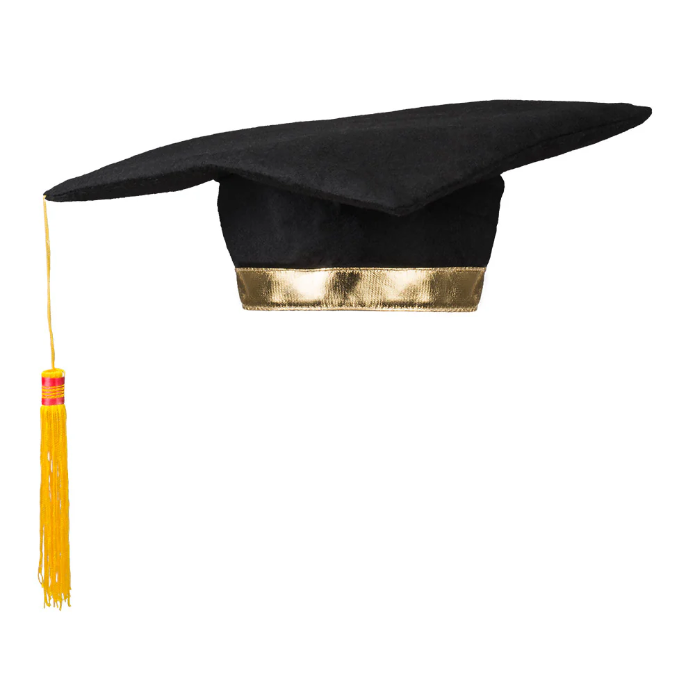 Hoed Postgraduate - Image 5