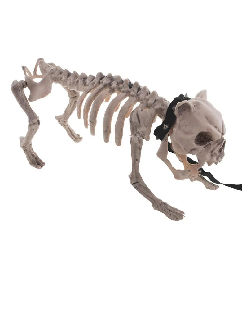 Honden skelet
