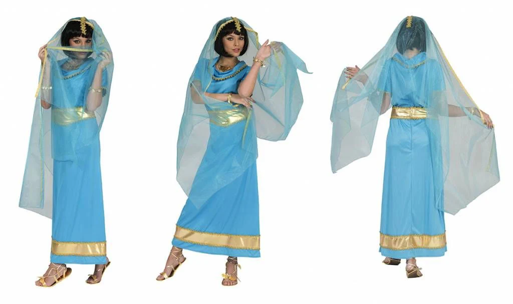 Indiase verkleed jurk Anandi - Image 3