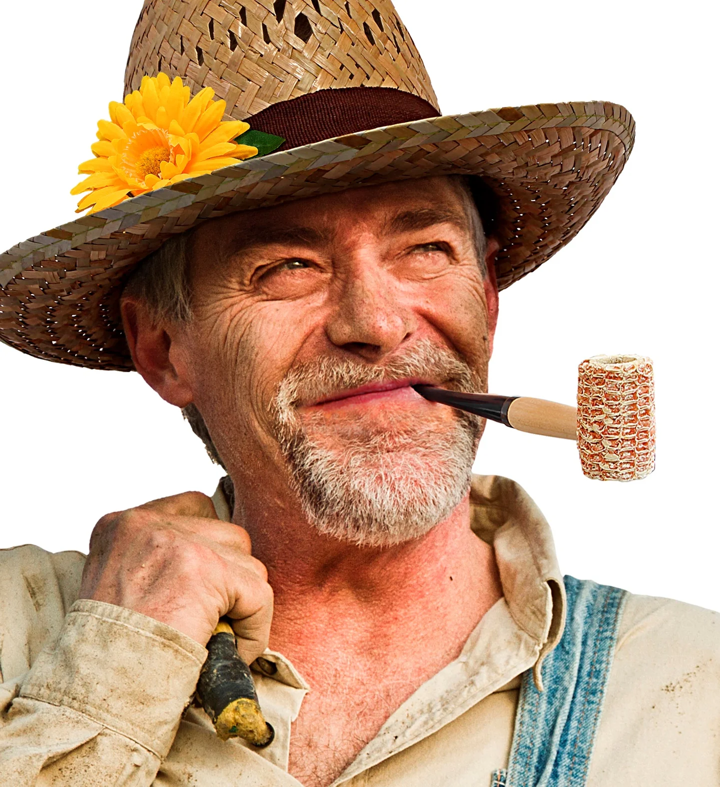 Pijp maiskolf - Image 2