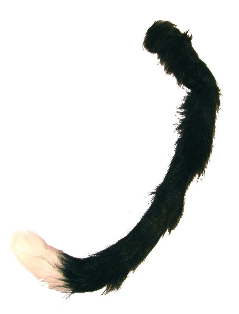 Nep zwarte kattenstaart met wit puntje - Image 2