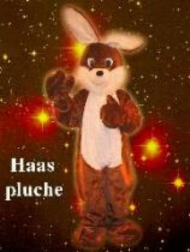 Partykleding: Luxe paashaas - Image 2