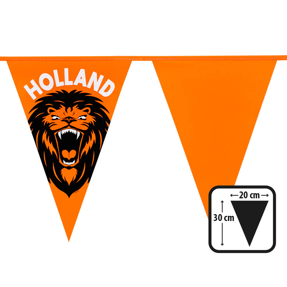 PE vlaggenlijn Brullende leeuw 'Holland' - Image 2