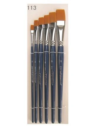 PXP professional Penselenset 6 stuks