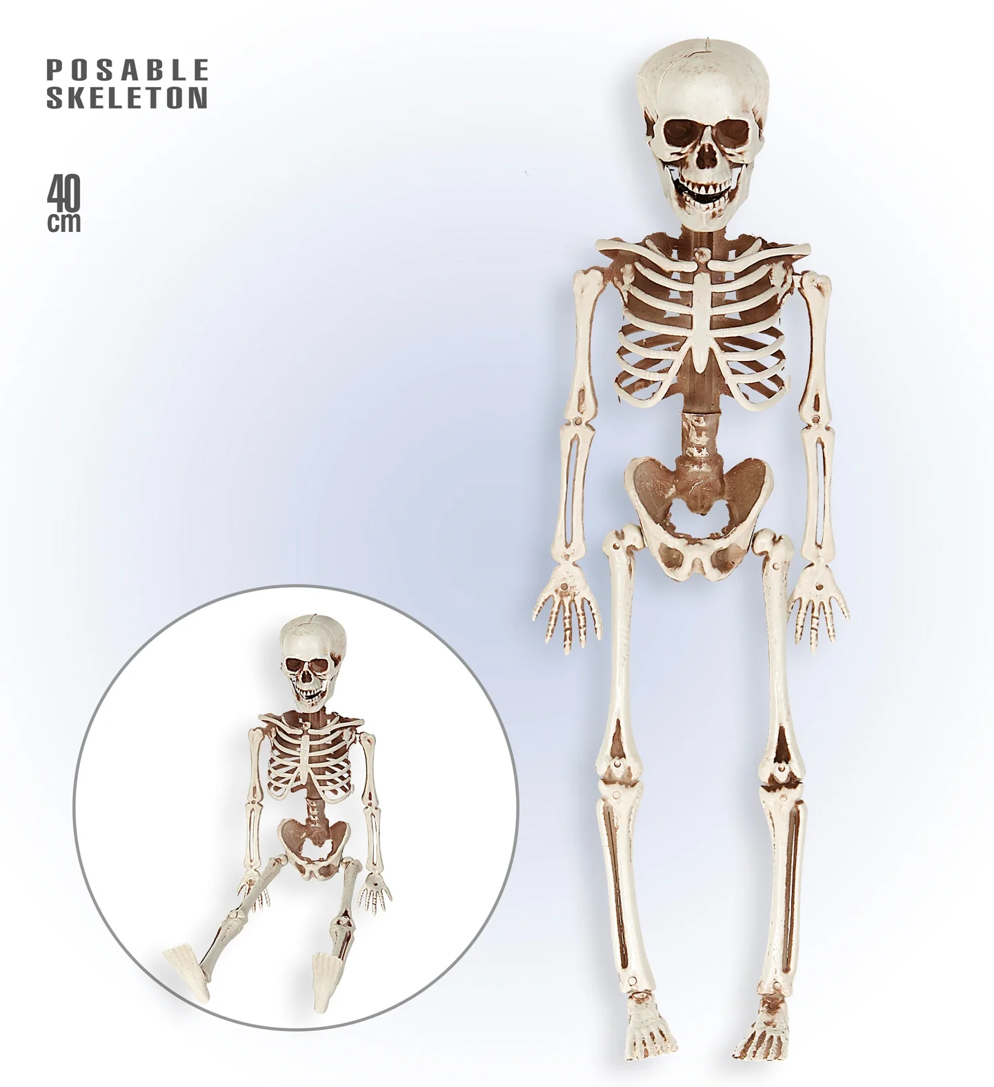 POSEERBAAR SKELET 40CM - Image 4