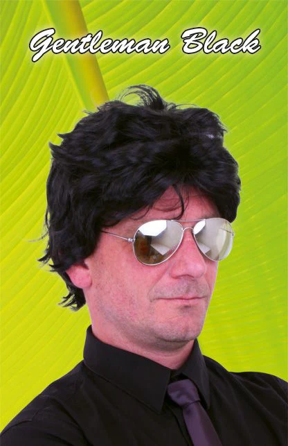 Pruik Harry zwart - Image 2