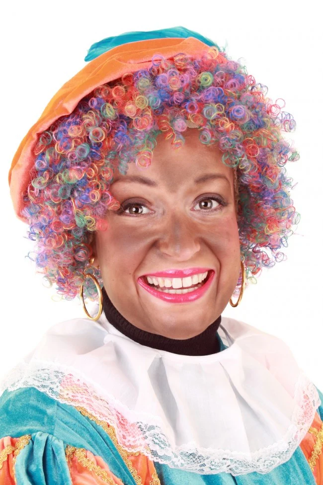Pieten pruik afro verstelbaar regenboog
