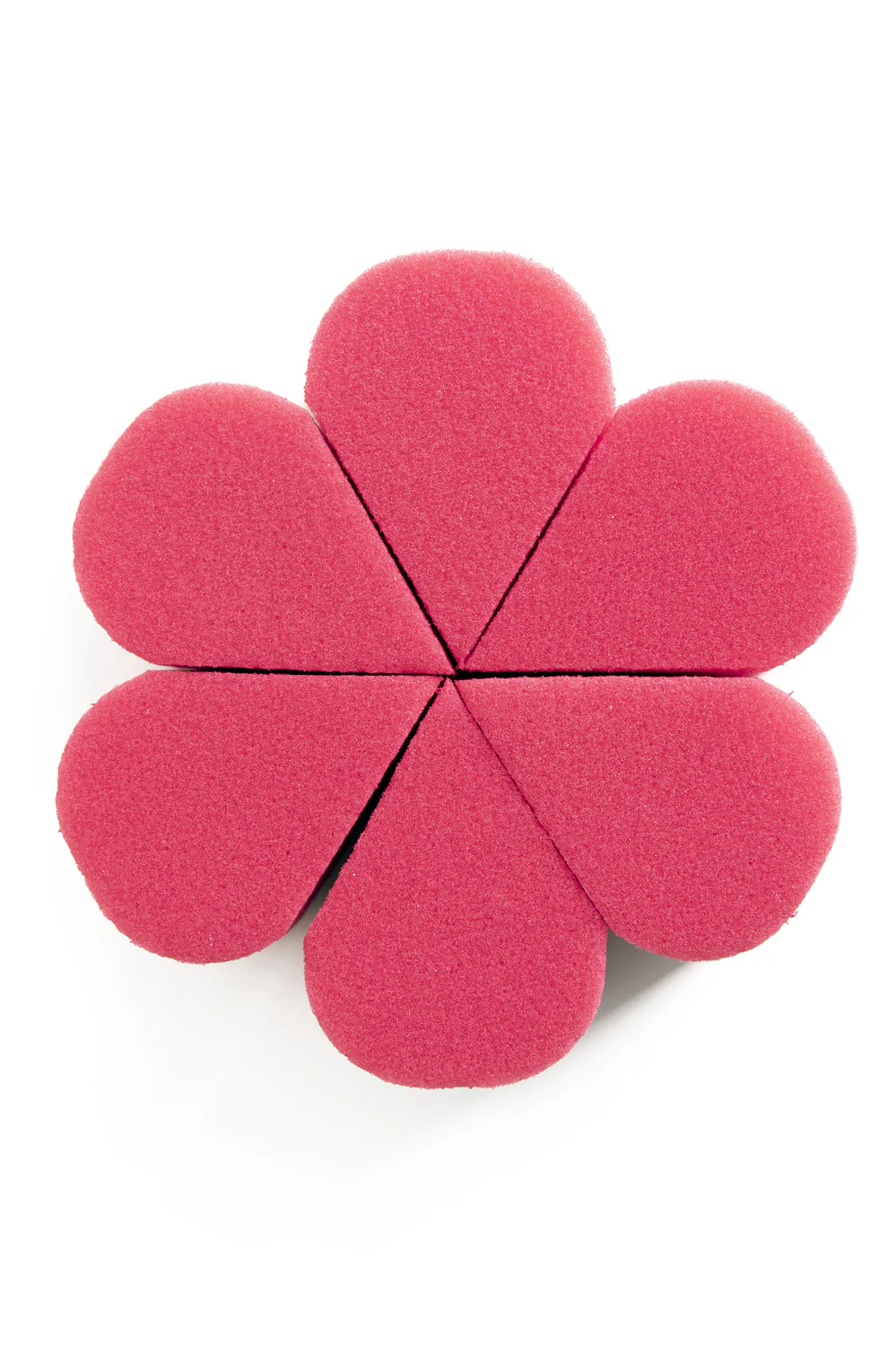 PXP Petal sponsjes roze per 6