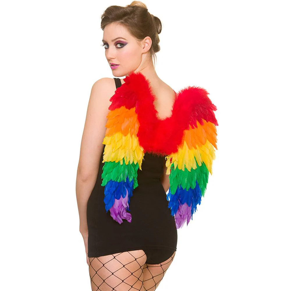 Regenboog veren vleugels