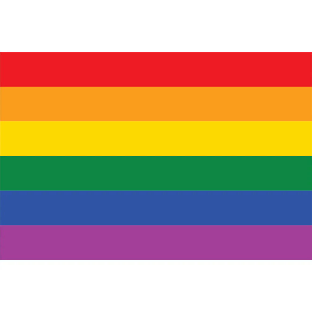 Regenboogvlag 150x90cm - Image 2