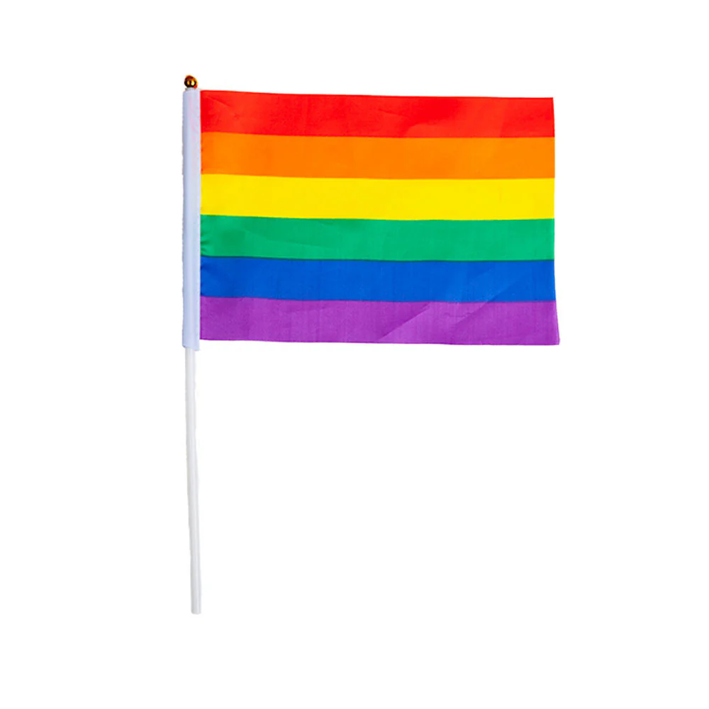 Regenboogvlag 45x30cm