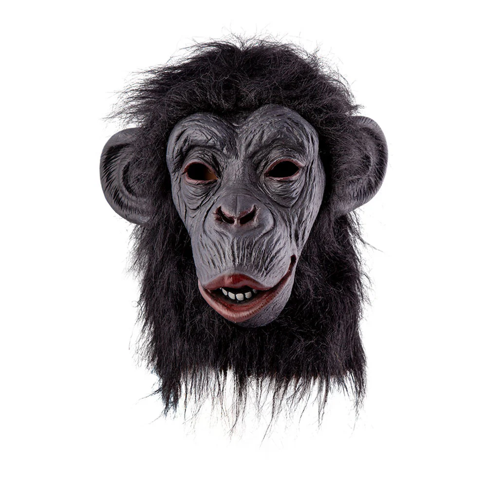 Miniatuur 1