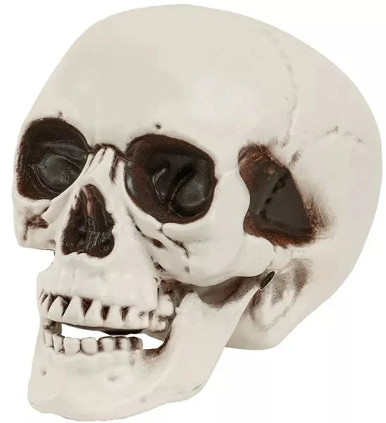 Schedel met beweegbare kaak 12cm Mees