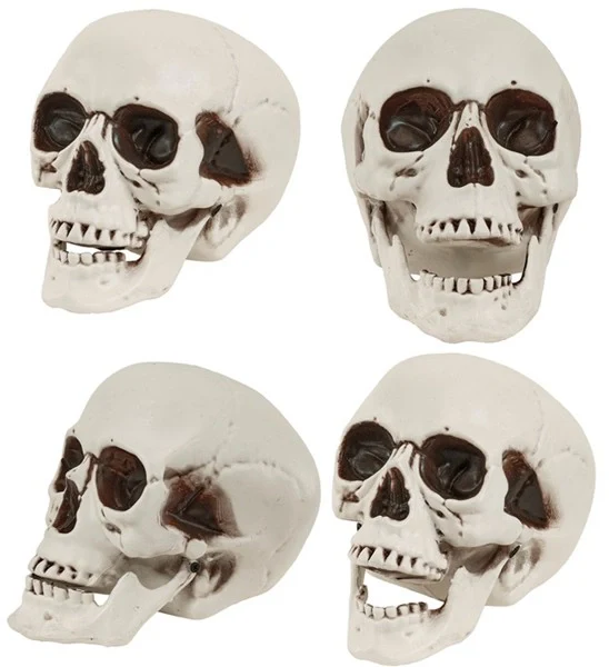 Schedel met beweegbare kaak 12cm Mees - Image 2