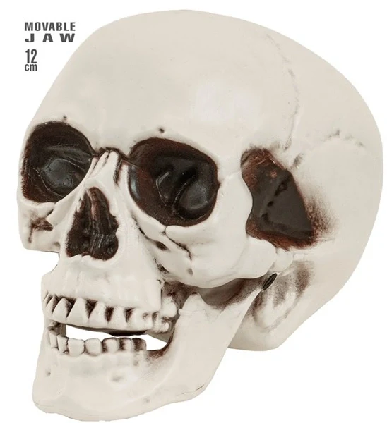 Schedel met beweegbare kaak 12cm Mees - Image 5