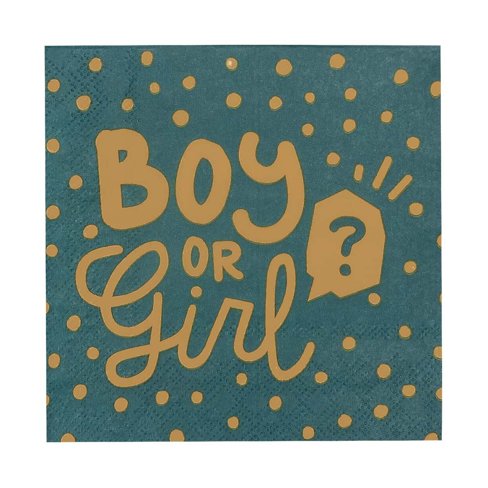 Set 20 papieren servetten 'Boy or girl?'