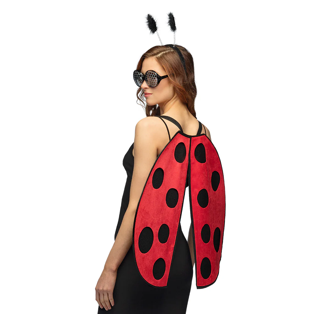 Lieveheerbeestje verkleed set - Image 2