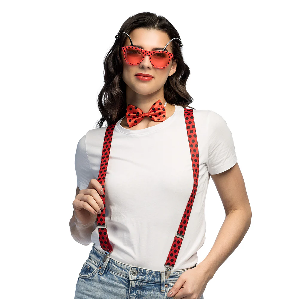 Set Lieveheersbeestje - Image 2