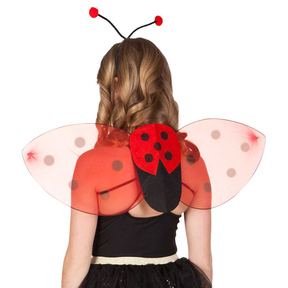 Lieveheersbeestje verkleed set kind - Image 6