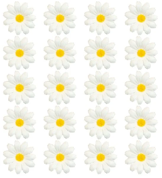 Set van 20 decoratieve madeliefje Teun
