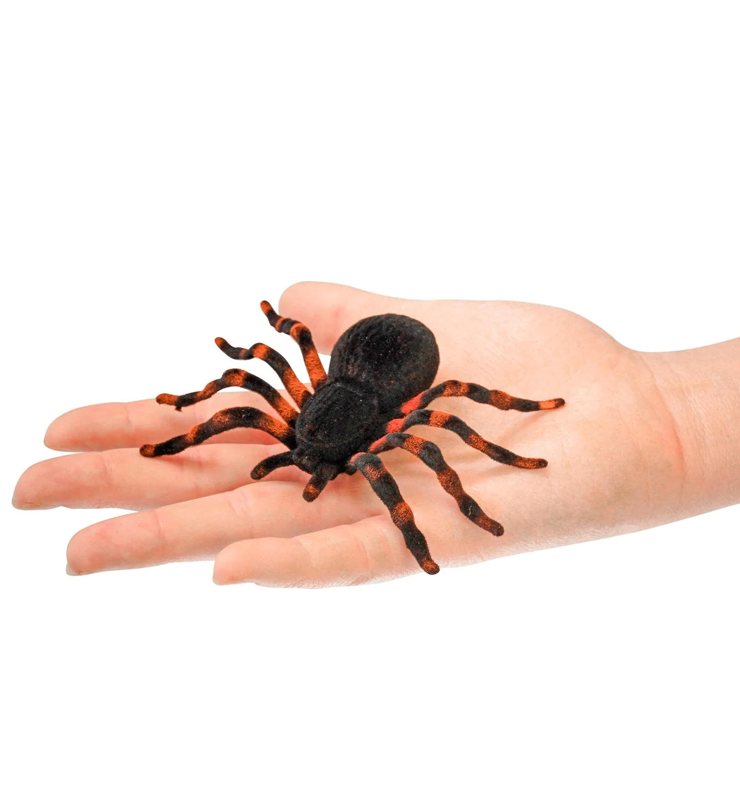Tarantula's 4 stuks - Image 3