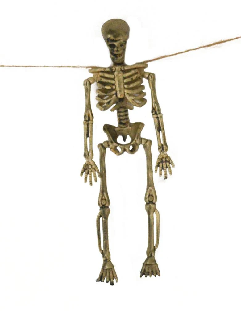 Slinger met skeleten voor Halloween - Image 2