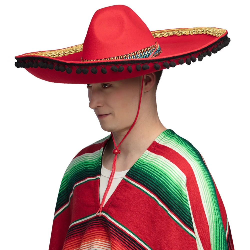 Sombrero Diego deluxe - Image 2
