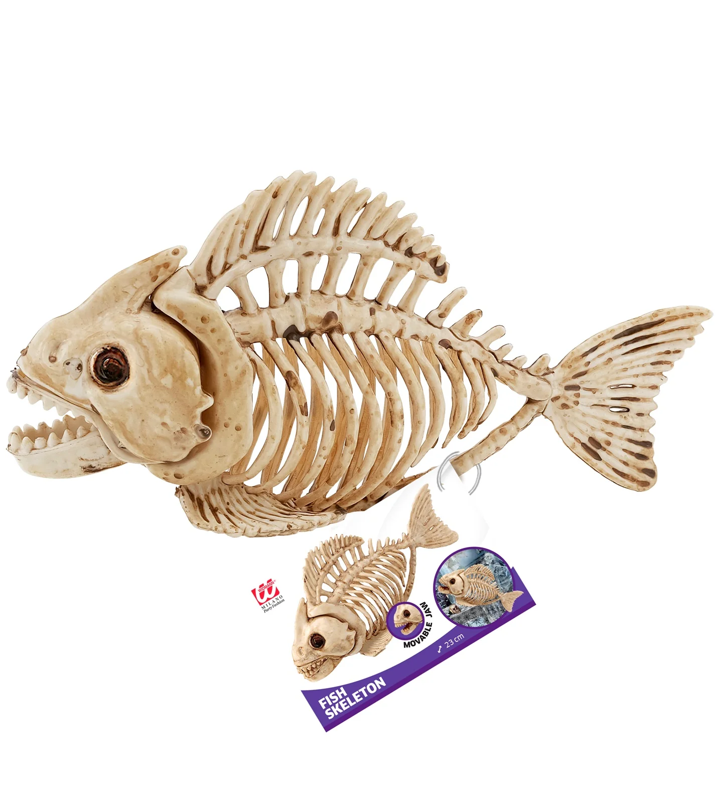 Vissen skelet - Image 3
