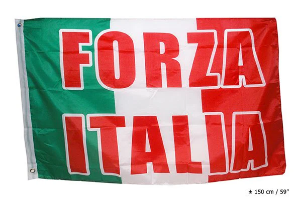 Vlag Forza Italia - Image 2