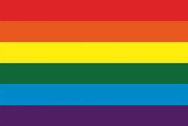 Regenboogvlag - Image 2