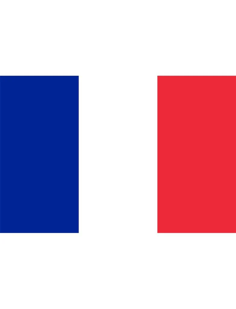Vlag XL 436x350cm Frankrijk