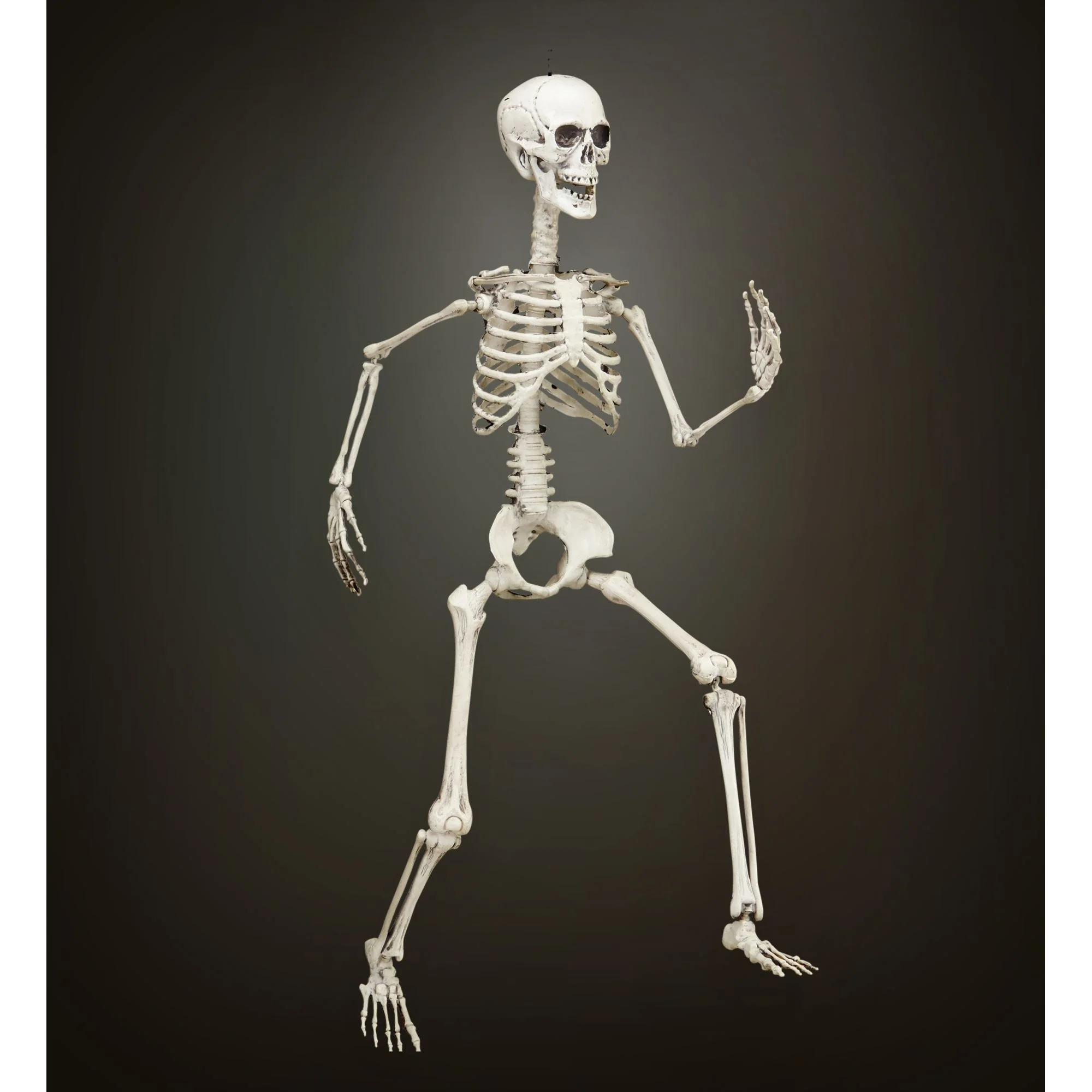 Vorm baar skelet Halloween