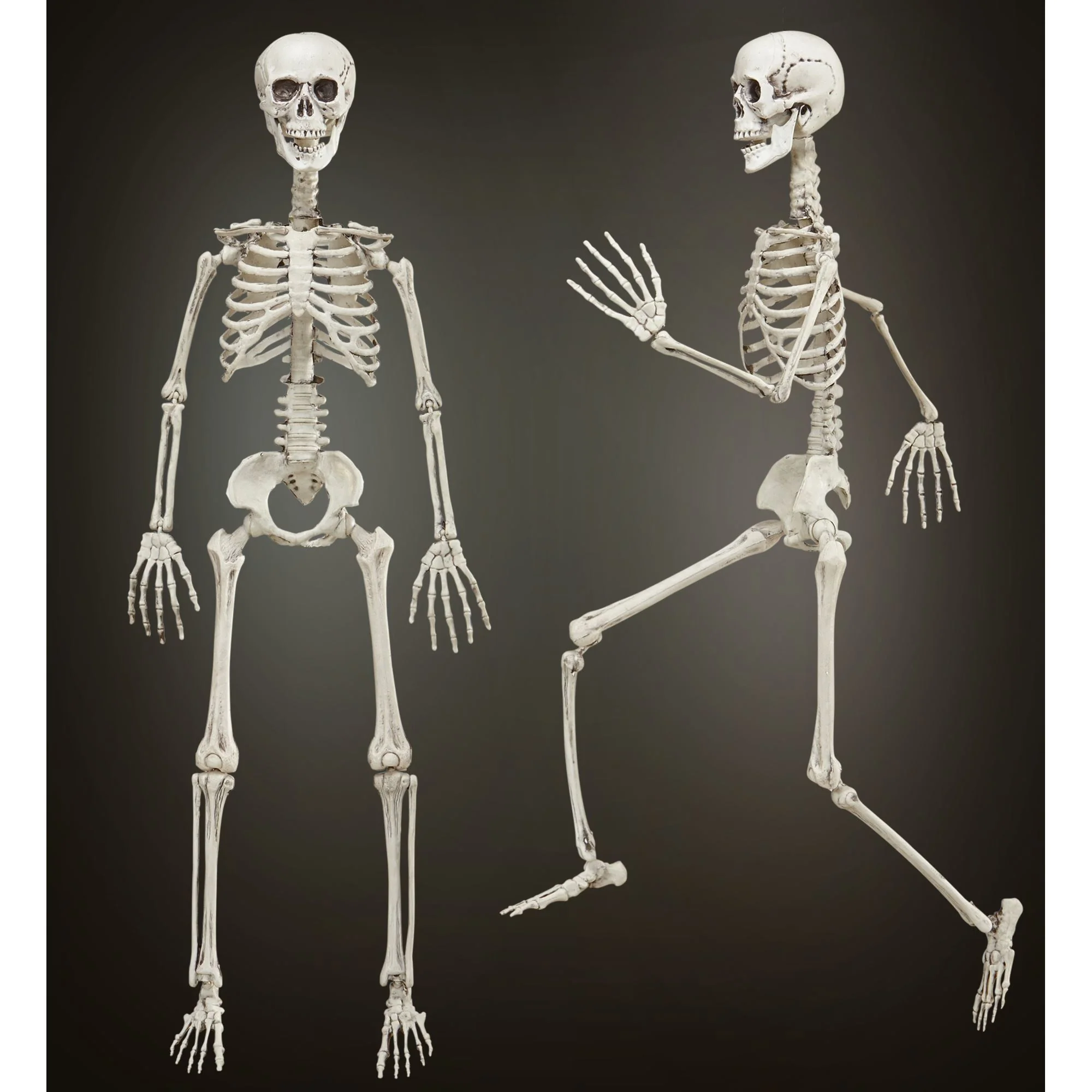 Vorm baar skelet Halloween - Image 2