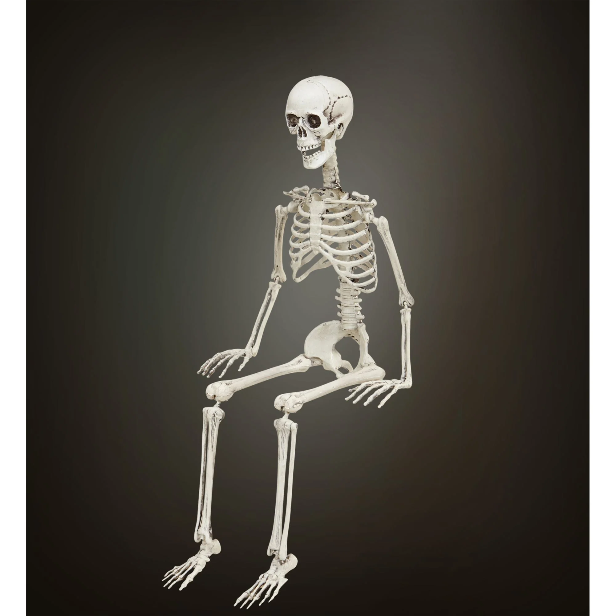 Vorm baar skelet Halloween - Image 3