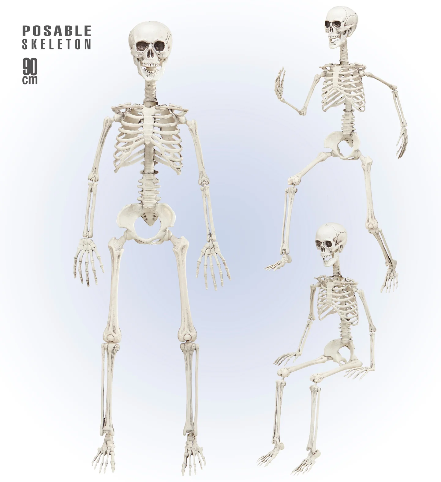 Vorm baar skelet Halloween - Image 4