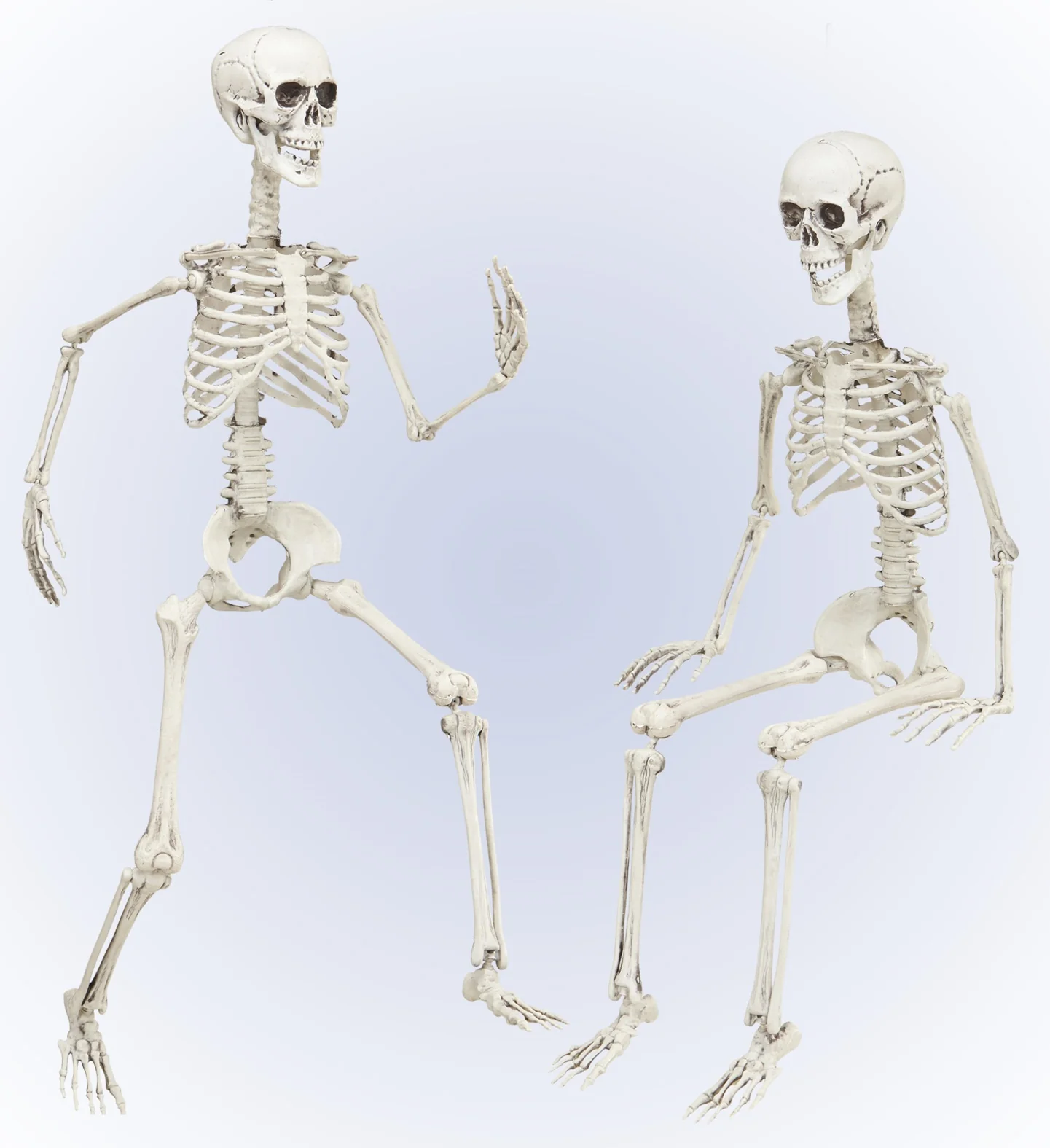 Vorm baar skelet Halloween - Image 5