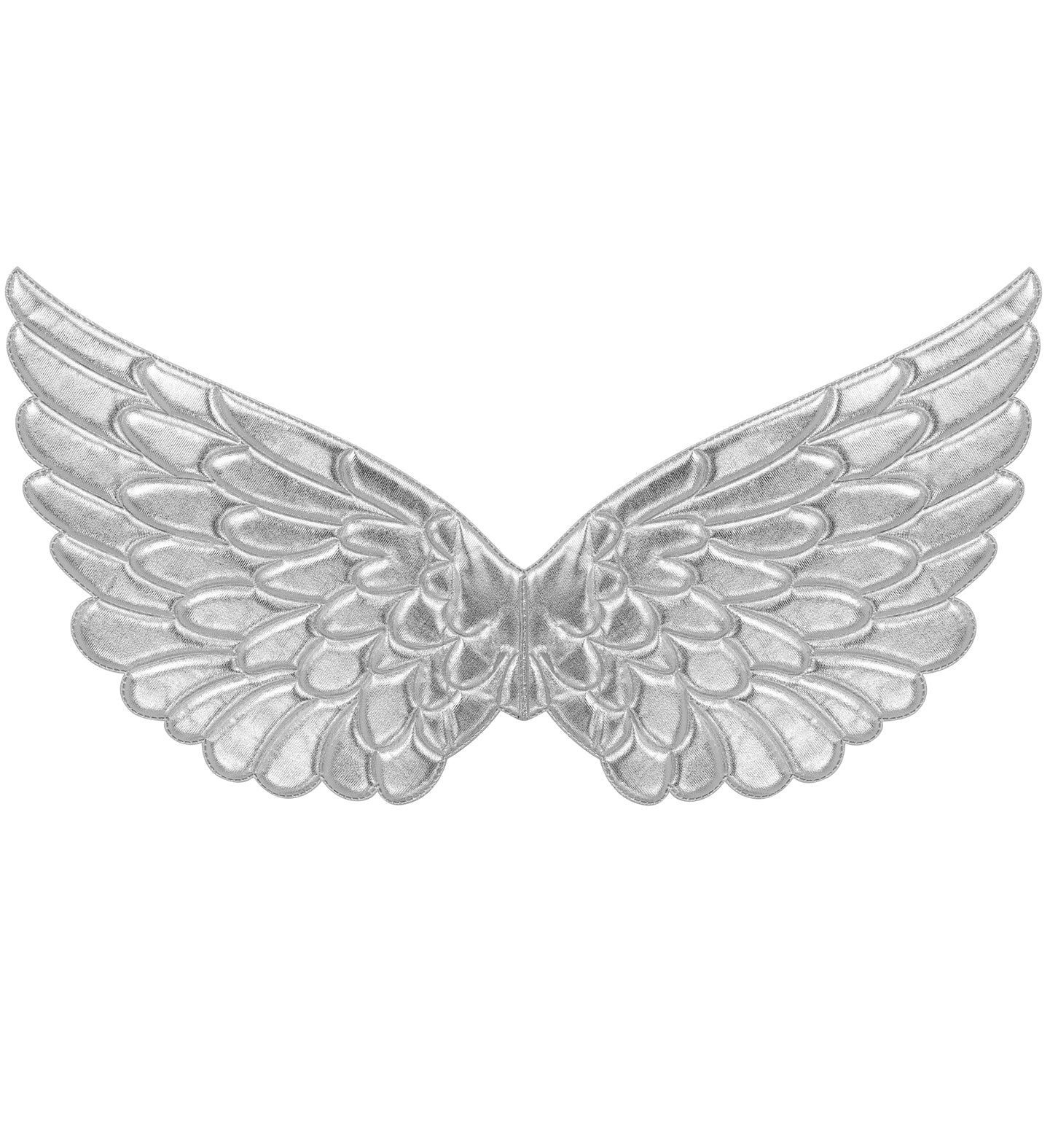 Vleugels zilver 57x26 cm